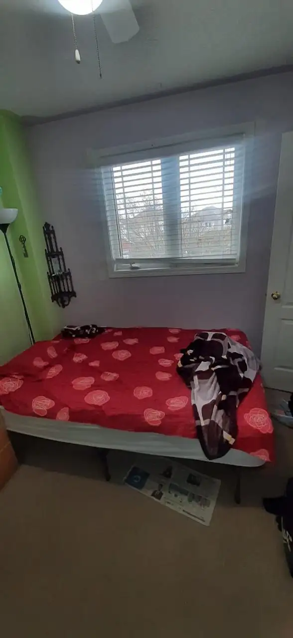 private Room for Rent (Male) in Room Rentals & Roommates in Peterborough - Image 8