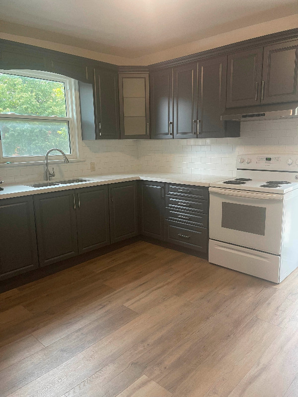 3 Bedroom newly renovated house in bay front area for rent . Long