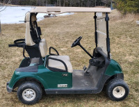 2010 EZGO RXV Electric Golf Cart