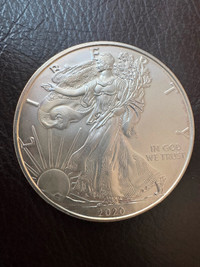 Silver Coins US Eagles 2020