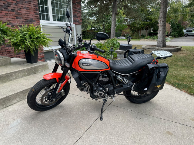2019 Ducati Scrambler Icon ABS - 803cc in Street, Cruisers & Choppers in Mississauga / Peel Region