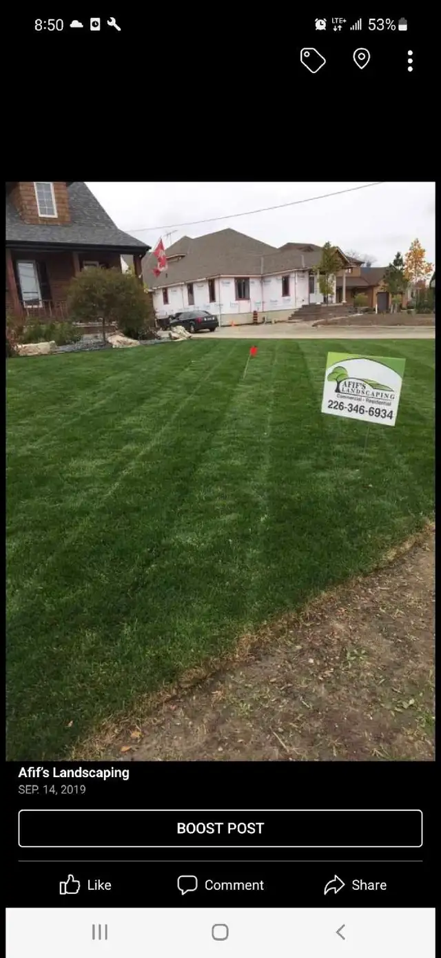 landscaping Sod lawn care trimming yard clean up loads to dump in Other in Windsor Region - Image 3