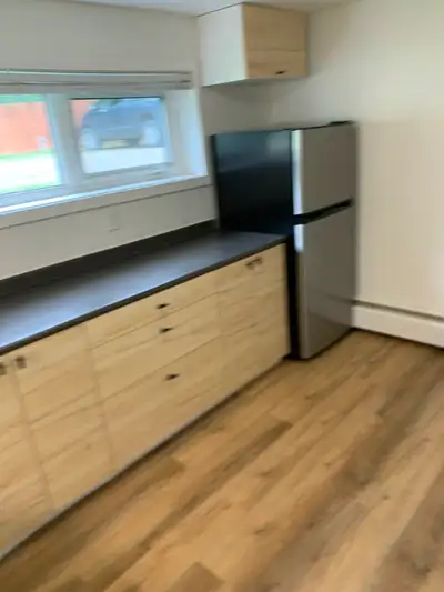 One-bedroom basement suite in Riverdale for rent. The unit is ideal for one to two people and is new...