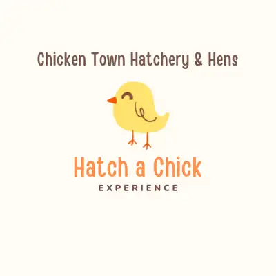 Experience the magic of hatching chicks with Chicken Town Hatchery & Hens Let Chicken Town Hatchery...