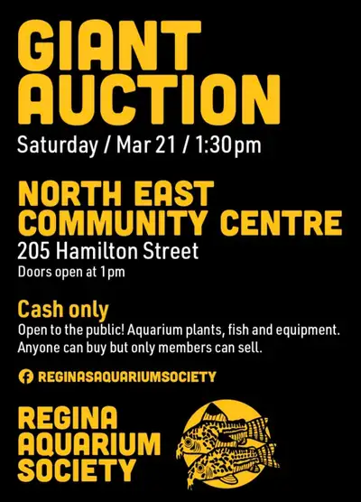 aquarium auction , View more