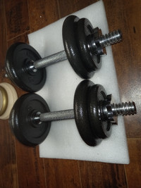 Adjustable  Dumbells Weight Set with Case - 38 Pounds, Black