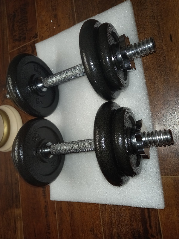 Adjustable  Dumbells Weight Set with Case - 38 Pounds, Black in Exercise Equipment in Cambridge