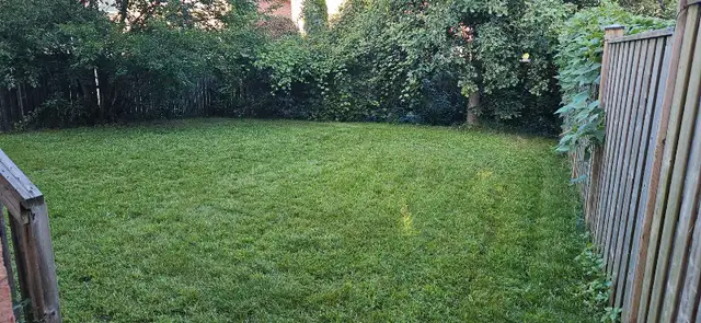 Grass Cutting Scarborough / Pickering / Whitby62863233571842124