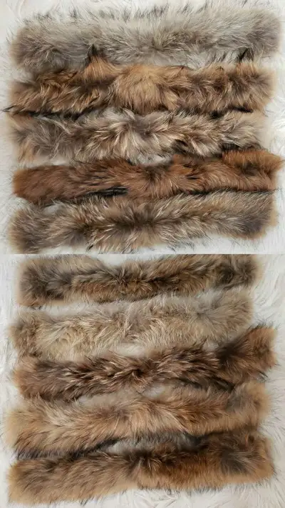 Brand new coyote fur hood trims waiting to be headbands , View more