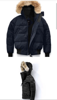 Canada Goose Jacket | Find Local Deals on Women's Tops, Outerwear in Toronto  (GTA) | Kijiji Classifieds