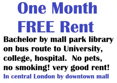 BACHELOR for rent Central London by mall park library bus route, one bus to University College Hospi...