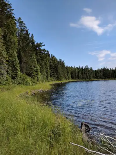 If ad is up, the offer is still available. Magnificent piece of unspoiled Northeastern Ontario prope...