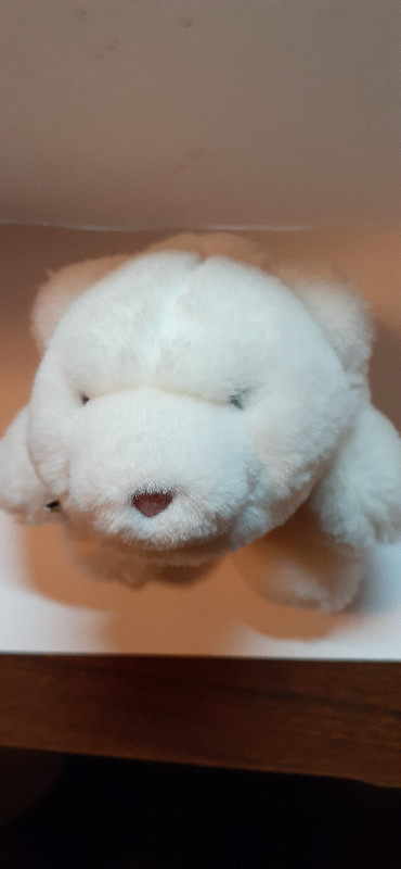 Teddy Bear Gund Bear White Polar Bear in Other in Kitchener / Waterloo