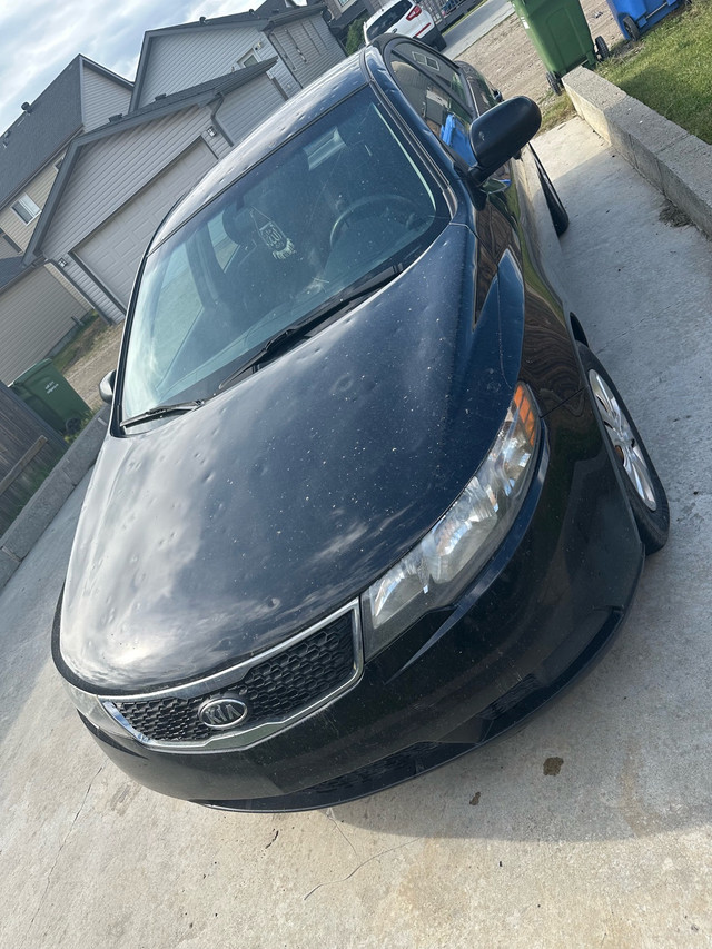 Kia forte in Cars & Trucks in Calgary