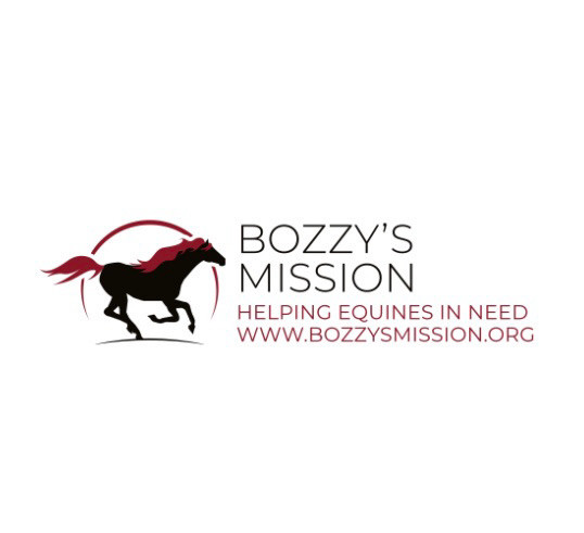 Bozzy’s Mission- Equine Welfare and Rescue in Horses & Ponies for Rehoming in Cape Breton