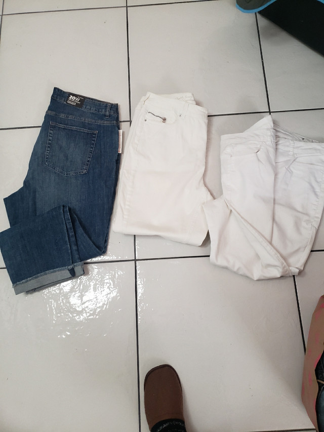 LARGER SIZE JEANS in Women's - Bottoms in Hamilton
