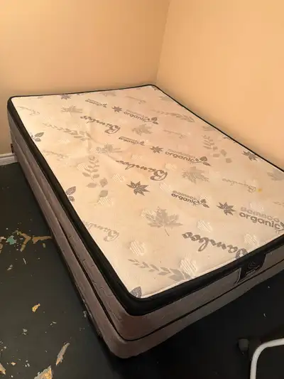 Free bed, View more