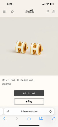 Hermes H earrings