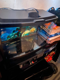 20 gallon fish tank in great condition