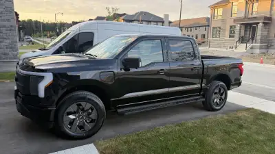 MAN WITH PICKUP TRUCK, View more