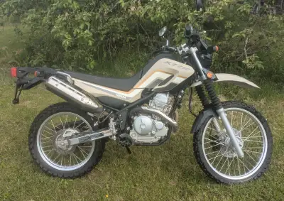2019 XT250 with only 600km. Bought new at Cat Shack. Wife was going to get her bike license but deci...