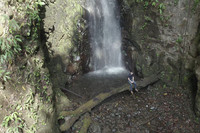 Panama Mountain Farm! Waterfall Access, Nature Lovers Paradise!