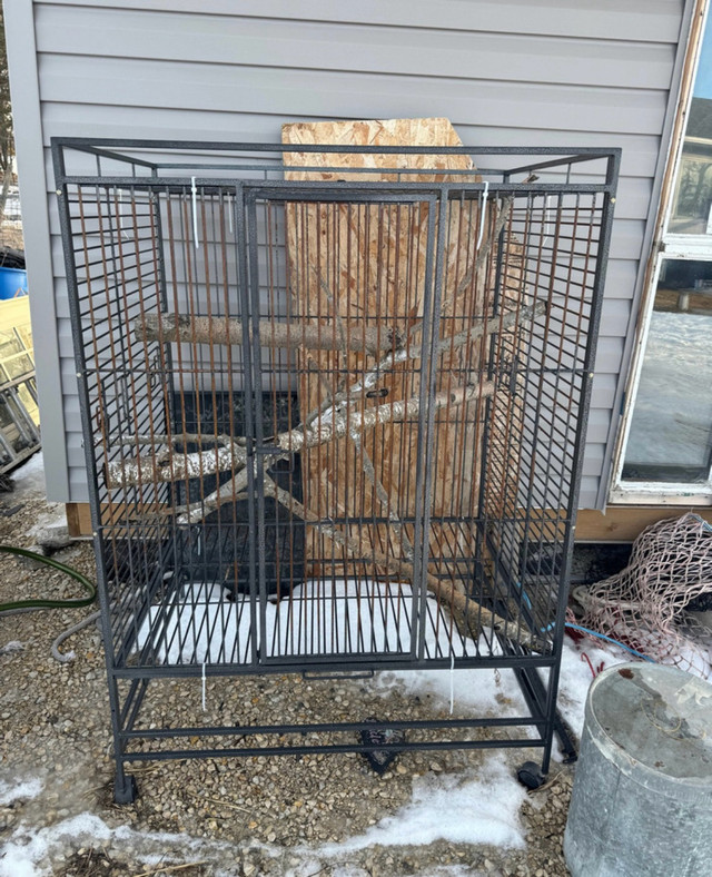 Large Parrot Cage in Birds for Rehoming in Winnipeg - Image 3