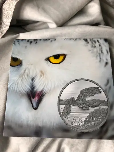 Royal mint snowy owl. Only 90,000 minted.