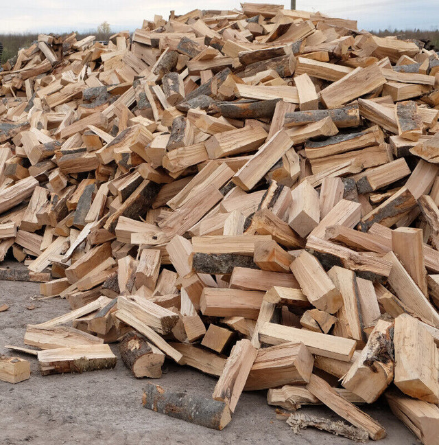 bois de chauffage (bois franc 100%) dans Autre  à Ville de Québec