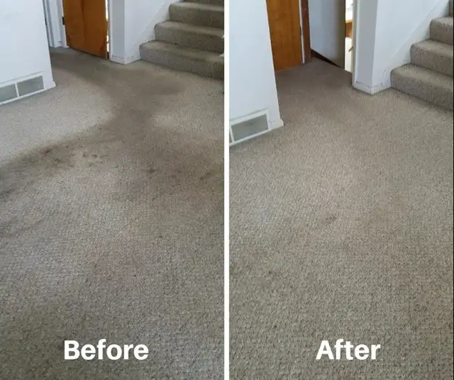 Comfort House Carpet and Couch Cleaning62863728247681122