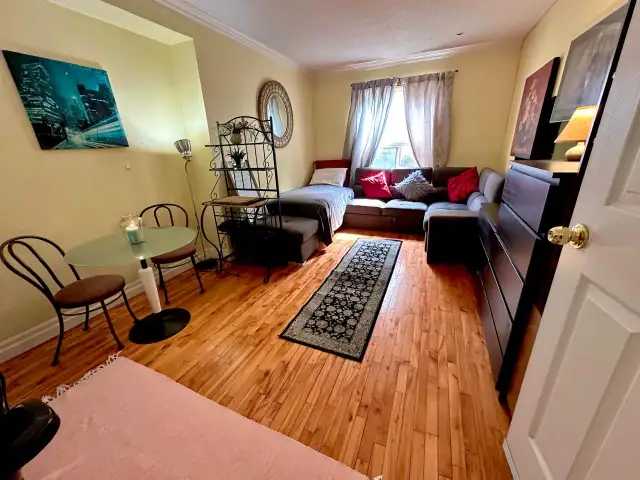 OPG or single professional Large room with kitchenette