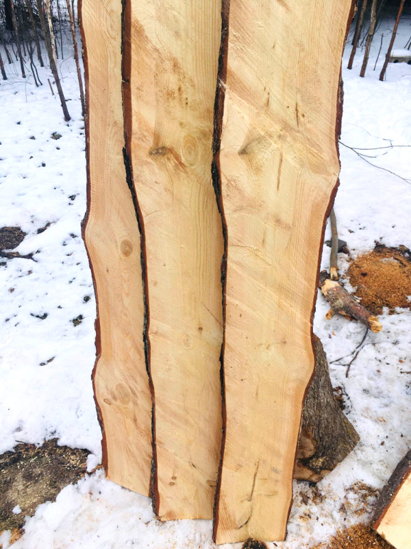 Red Pine Live Edge slabs approximately 6 ft long10 to 12 inches in Coffee Tables in Sault Ste. Marie