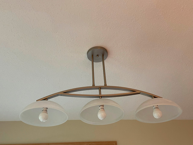 Stunning Modern Ceiling light in Indoor Lighting & Fans in Strathcona County