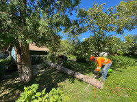 A to Z tree removal 