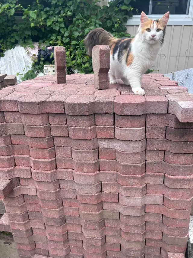 •Cheap BRICKS! Keyhole Pattern Unistones -• ONLY $1 each Brick • in Outdoor Décor in Owen Sound - Image 9