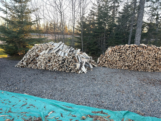 Firewood in Other in Prince Albert - Image 2