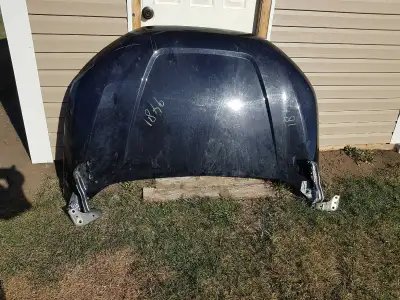 Used Hood and hinges. GOOD FOR 2019 TO 2025 FORD EDGE. Have some scratches