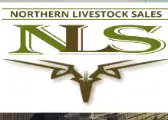 Tack and Horse Sale Northern Livestock Sales Prince Albert 