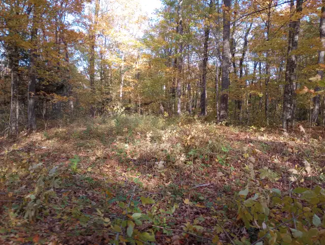 Waterfront Lot appx 3.4 AC in Nipissing Ont. year-round road in Land for Sale in North Bay - Image 10