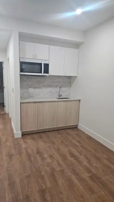 SPACIOUS 1 BEDROOM FOR RENT (OPTIONALLY FURNISHED)
