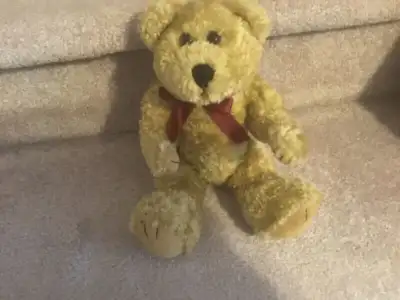 Boyd’s collection bear, View more