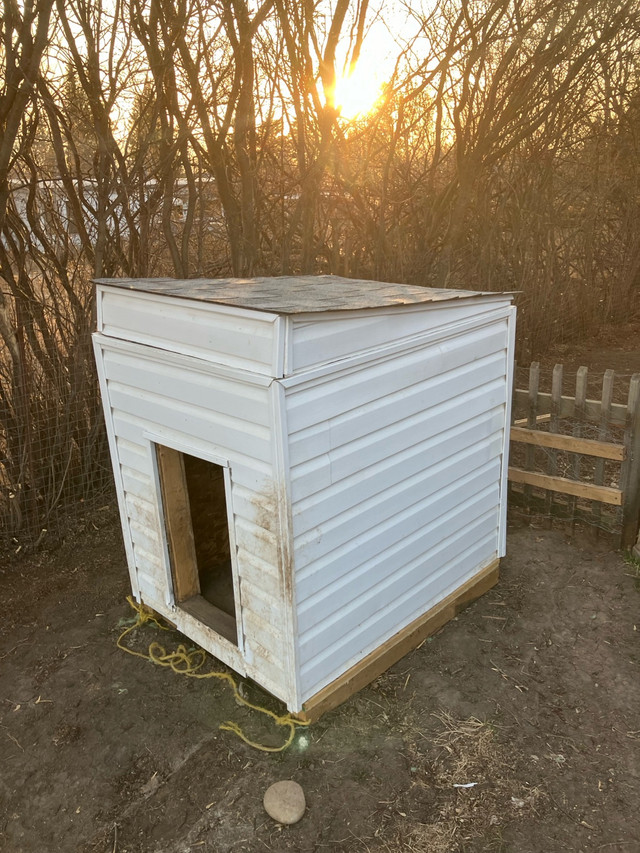 BIG SiZE DOG HOUSE  in Animal & Pet Services in Edmonton - Image 2