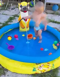 Moving Sale - Seals Spray kid Pool