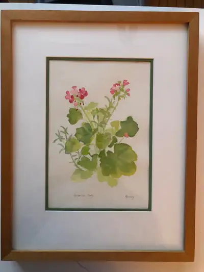 “Geranium Study”, original watercolour by local artist (seller). Framed in a natural wood frame. Tot...