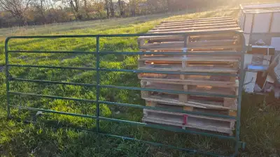 10ft FIELD GATE, View more