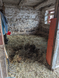Barn Cleaning and Muck Out (+debris removal)