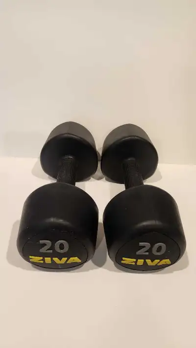 20 lb dumbbells , View more