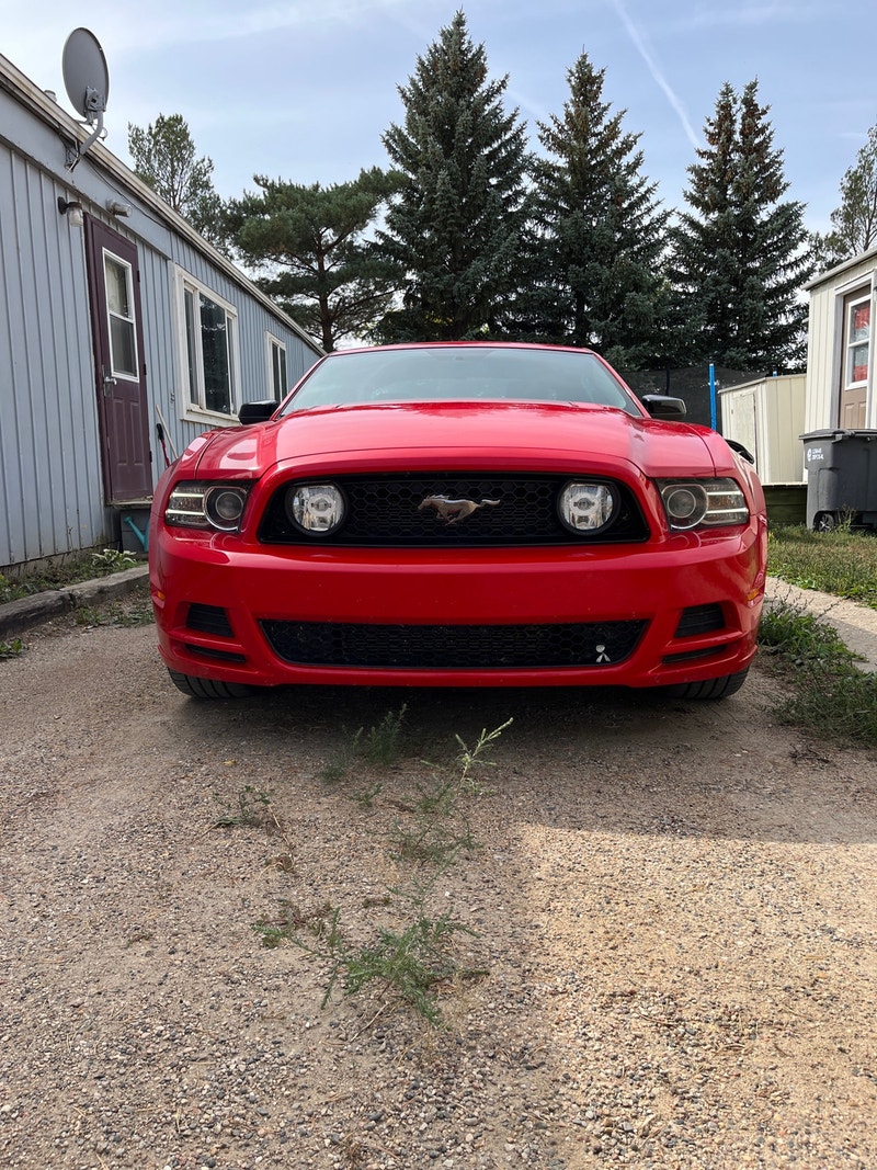 2014 mustang GT Cars & Trucks Moose Jaw Kijiji