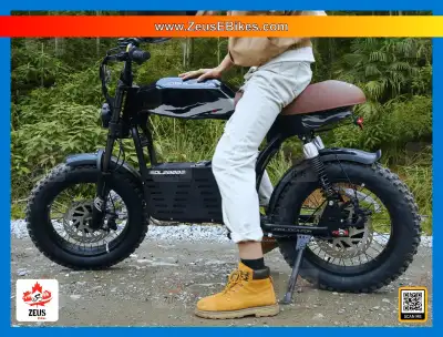 eBike NEW! Eahora DL2000, eBike NEW! ZeusEbikes.com, View more