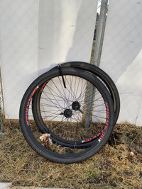 Wheel set 29er or 700c  with tires specialized 45c
